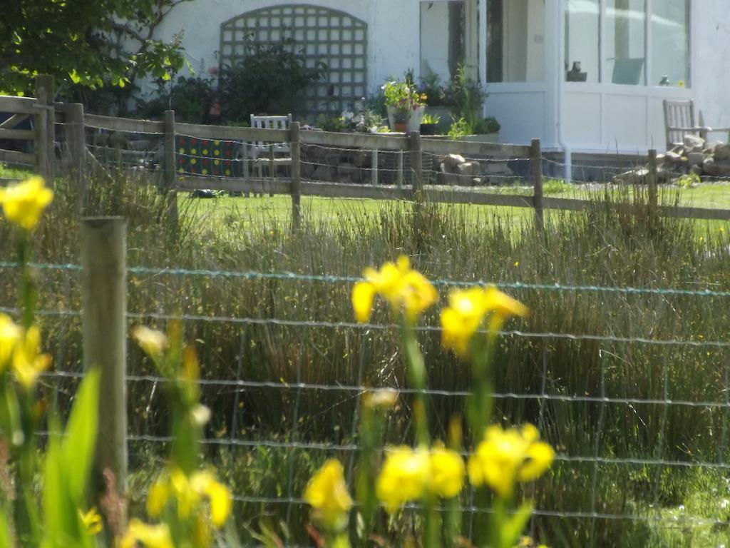 The Swallows Guest House 뉴키 객실 사진